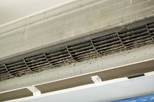 Best HVAC Air Duct Cleaning  in Franklinton, NC